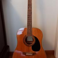 Chitarra acustica Johnson JD 6