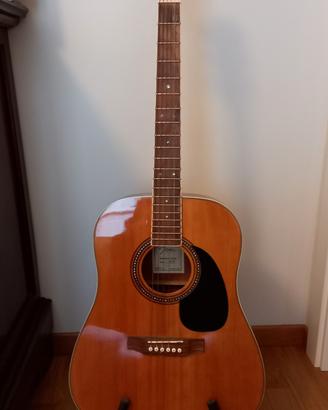 Chitarra acustica Johnson JD 6