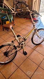 bicicletta pieghevole 