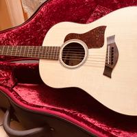 Taylor AD17 (2023)