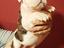 Immagine 4
