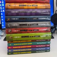 Libri Minecraft