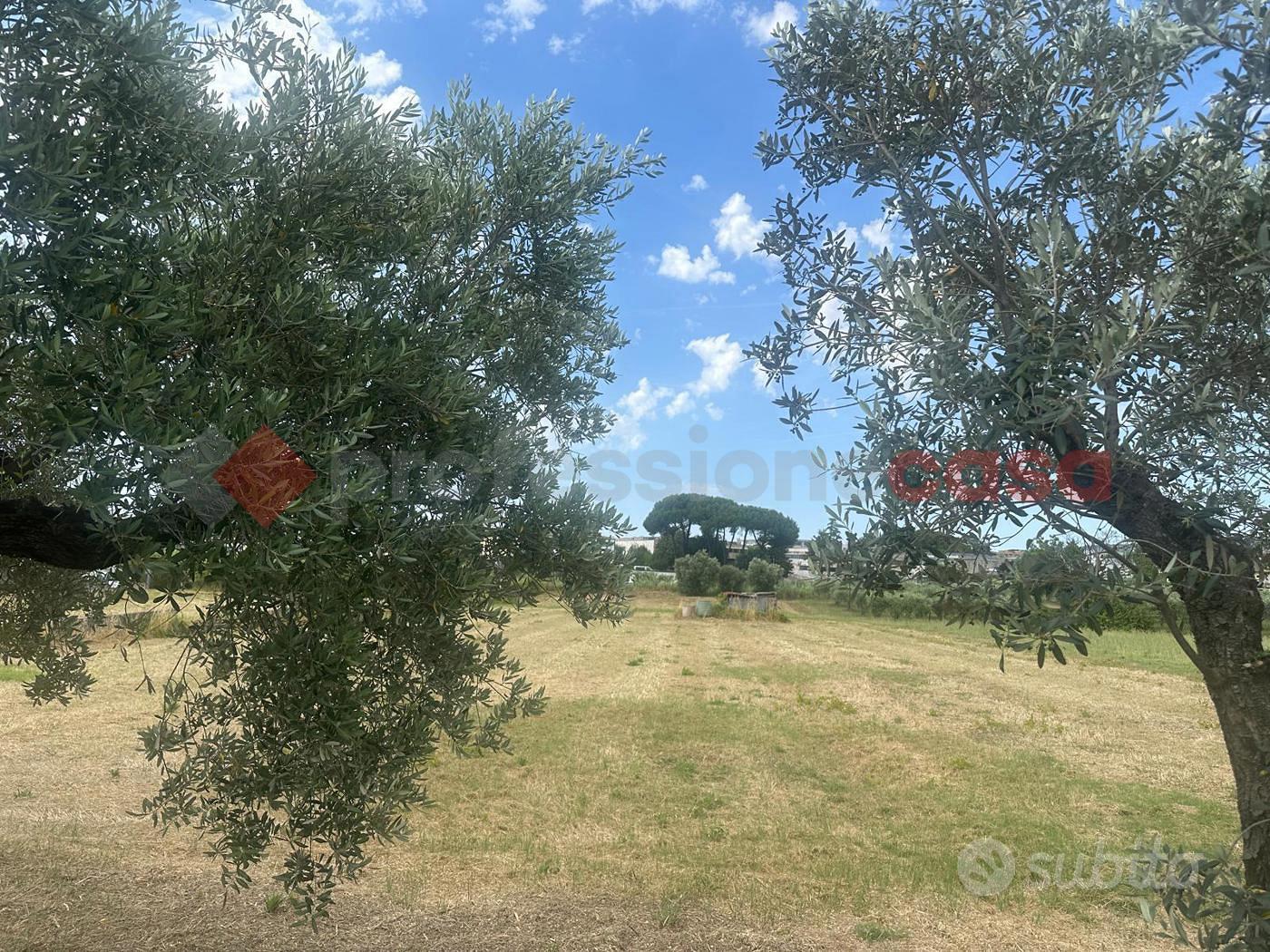 Terreno Agricolo Albano Laziale [837VCG] - Vista 2