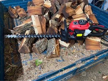 tagliasiepe dunsch da 60cm