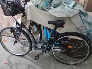 bicicletta da passeggio 