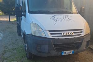 Van trasporto cavalli patente b