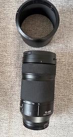 Lumix S 70-300mm f/4.5-5.6 Macro