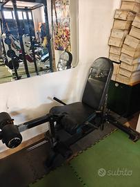 leg extension e leg curl powertec
