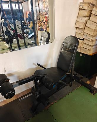 leg extension e leg curl powertec