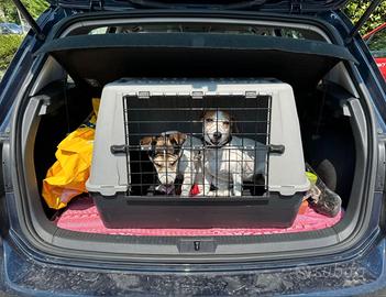 Kennel per cani, robusto e confortevole