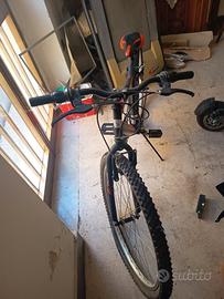bicicletta