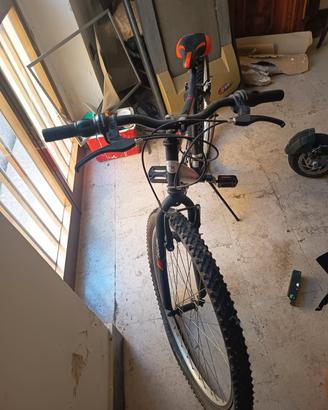 bicicletta