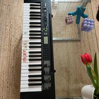 Tastiera casio CTK-240