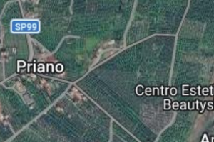 Uliveto a reddito di 3 ha Lamezia Terme