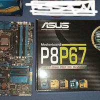 Asus P8P67 EVO Scheda Madre Intel LGA1155