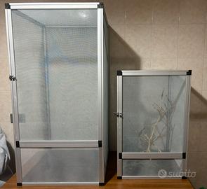 Terrari/Camaleontari in rete