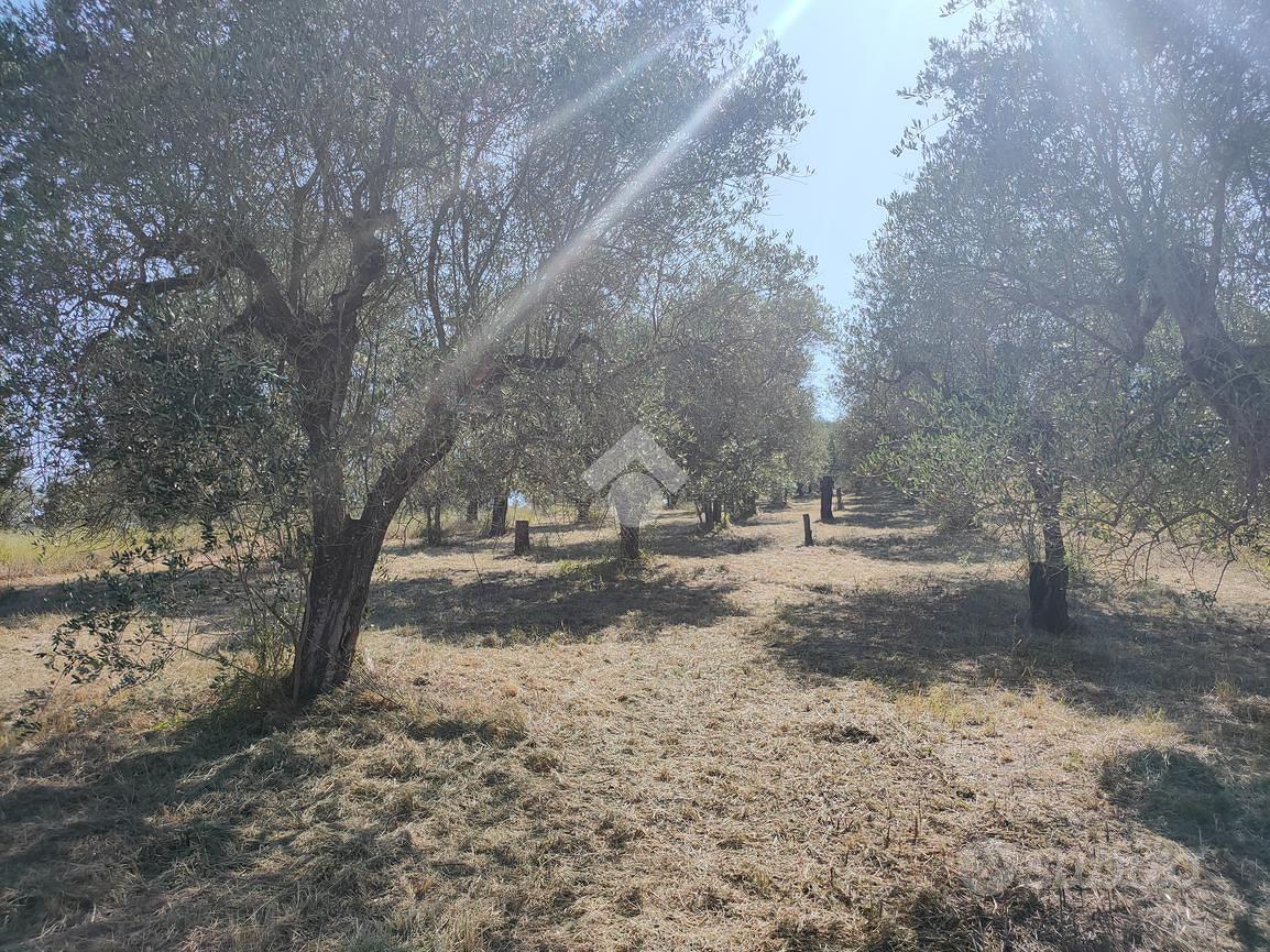 TER. AGRICOLO A MENTANA - Vista 5
