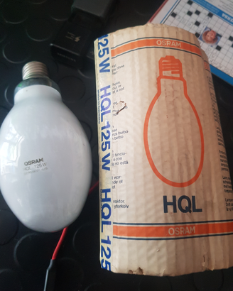 Lampada osram