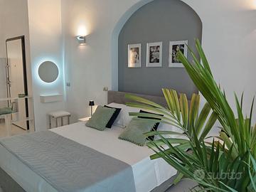 Elegante loft in centro con giardino
