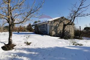 Cascina/Casale - Nicolosi