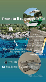 Vacanze 2026 a Marina di Camerota