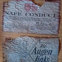 salva condotto volantino 