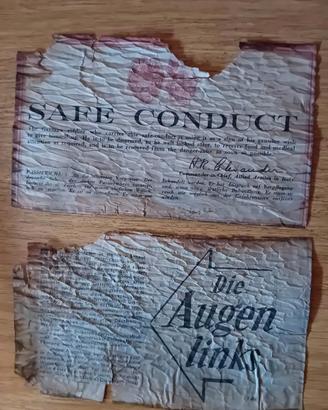 salva condotto volantino 