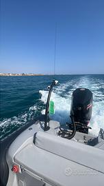 Focchi 730 family mercury 300 v8 proxs