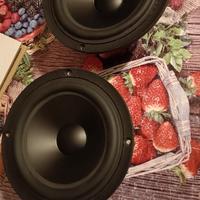 midwoofer sb 17mfc35-4