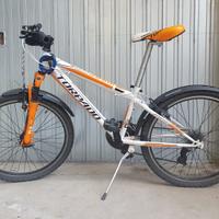 Bicicletta torpado viper 24