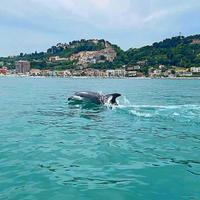 Casa vacanze a Grottammare