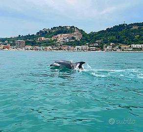 Casa vacanze a Grottammare