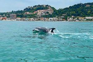 Casa vacanze a Grottammare