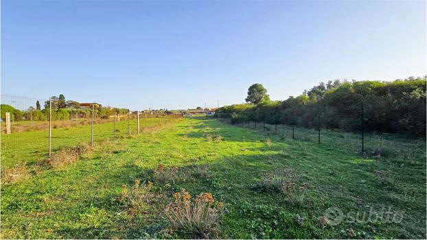 Terreno agricolo zona Cittadella