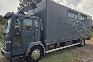 Van trasporto 5 cavalli VOLVO FL 6.12/250 HP