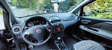 fiat punto evo 