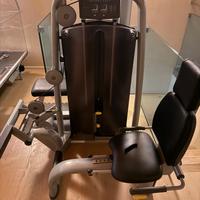 Sitting rotary calf Technogym