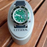 Citizen Promaster Eco drive Hulk