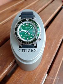 Citizen Promaster Eco drive Hulk