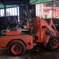 Pala gommata eurocomach