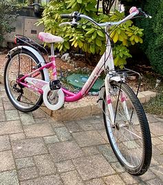 Bicicletta