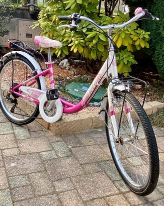 Bicicletta