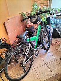 MTB alluminio wlettrificata
