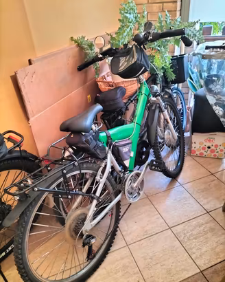 MTB alluminio wlettrificata