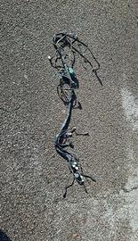 cablaggio €2 phantom f12 