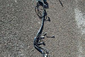 cablaggio €2 phantom f12 