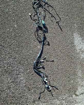 cablaggio €2 phantom f12 