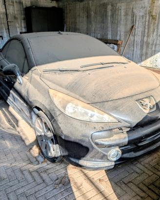 Ricambi Peugeot 207 cc 