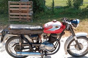 ducati bronco 125 ss