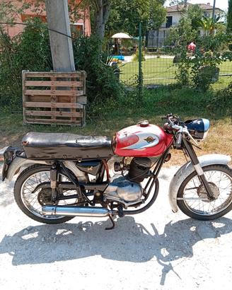 ducati bronco 125 ss